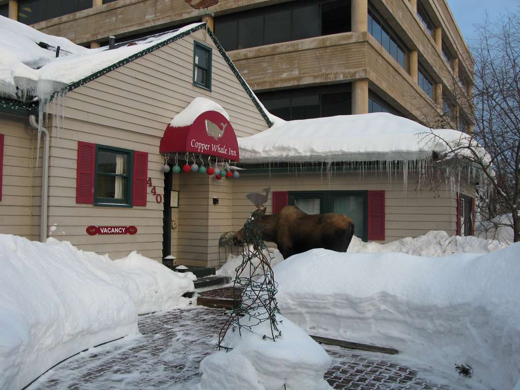 Copper Whale Inn Anchorage Exterior photo